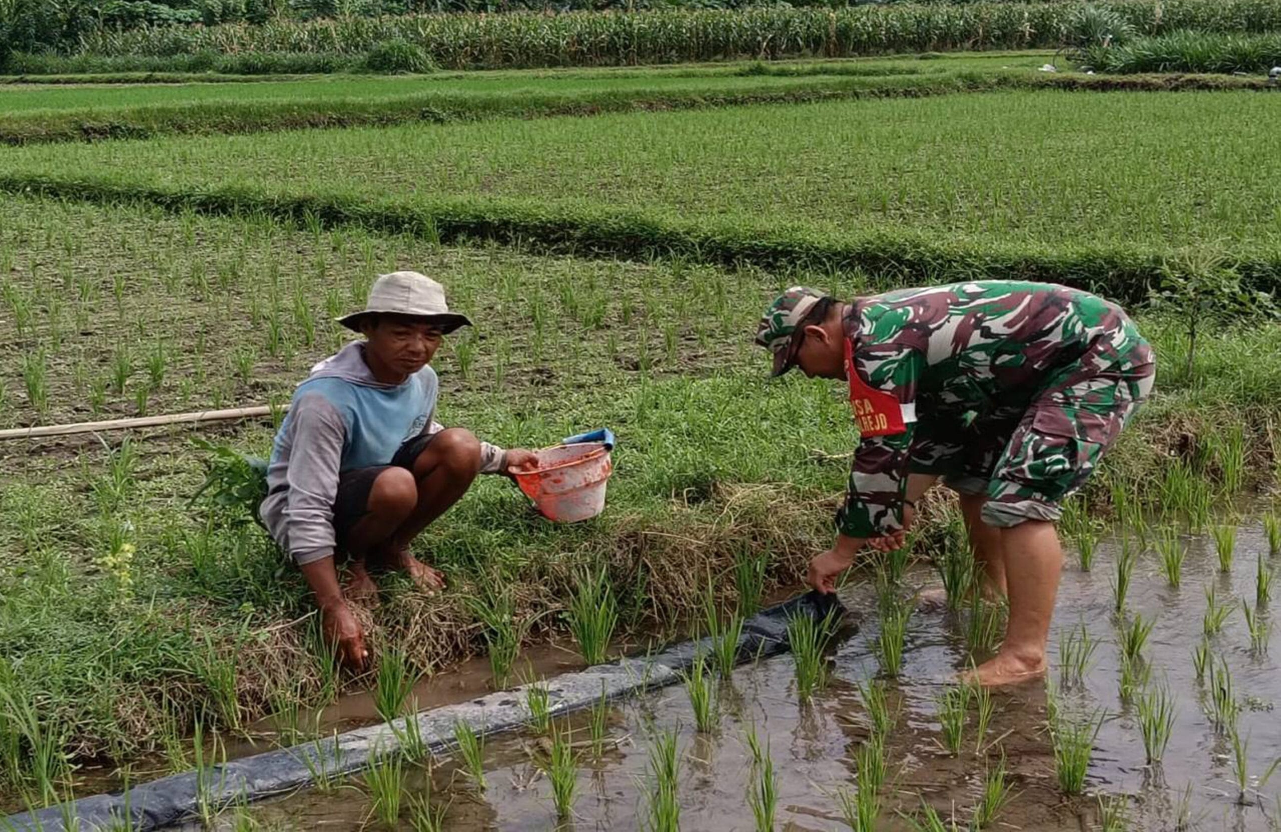 Jaga Tersedia Air, Babinsa Kendalrejo Dampingi Pengaliran Pompa Air Pok Tani Sari Murni