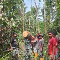 Aksi Nyata Babinsa Koramil 1505-04: Angkat Kayu Bakar Bersama Masyarakat Payahe Aksi Nyata Babinsa Koramil 1505-04: Angkat Kayu Bakar Bersama Masyarakat Payahe