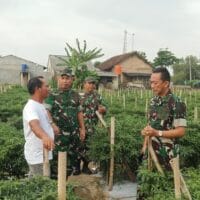 PENINJAUAN KETAHANAN PANGAN SETERDAM ll/SRIWIJAYA.