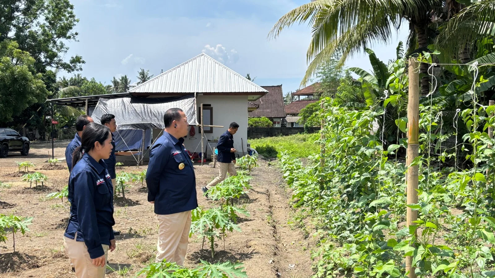 Kepala Zona Bakamla Tengah Pimpin Panen Jagung di Bali