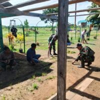 Sinergi TNI & Warga: Bersih-Bersih Gereja, Guyub Rukun di Perbatasan Papua Sinergi TNI & Warga: Bersih-Bersih Gereja, Guyub Rukun di Perbatasan Papua
