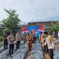 Kapolresta Tangerang, Hadiri Penanaman Cabai dan Peresmian Balai Pelatihan Poliran Polda Banten Secara Virtual