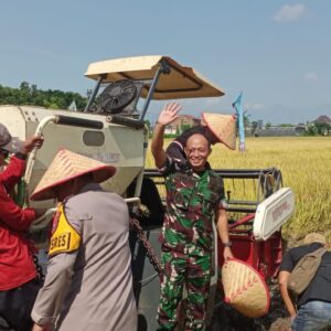 Kodim Probolinggo Ikut Panen Padi Serentak dan Dialog Virtual dengan Presiden