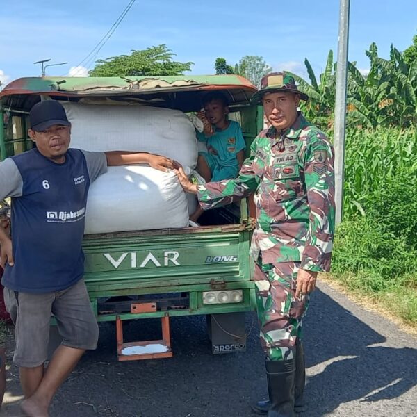 Kodim Probolinggo Laksanakan Program Serapan Gabah Petani di Wonoasih