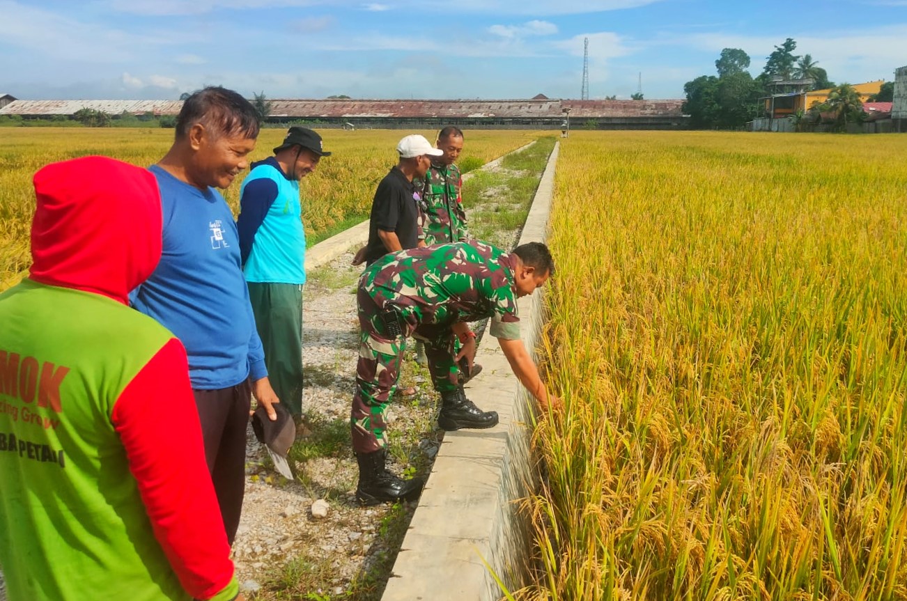 Koramil Loa Kulu Siap Dukung Program Ketahanan Pangan di Wilayah Kukar
