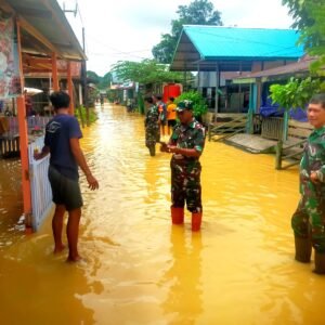 Banjir Rendam Beberapa Desa, Babinsa Koramil Loa Kulu Terjun ke Lokasi Banjir Rendam Beberapa Desa, Babinsa Koramil Loa Kulu Terjun ke Lokasi
