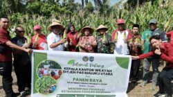 Dukung Ketahanan Pangan, Dandim 1505/Tidore Hadiri Panen Raya