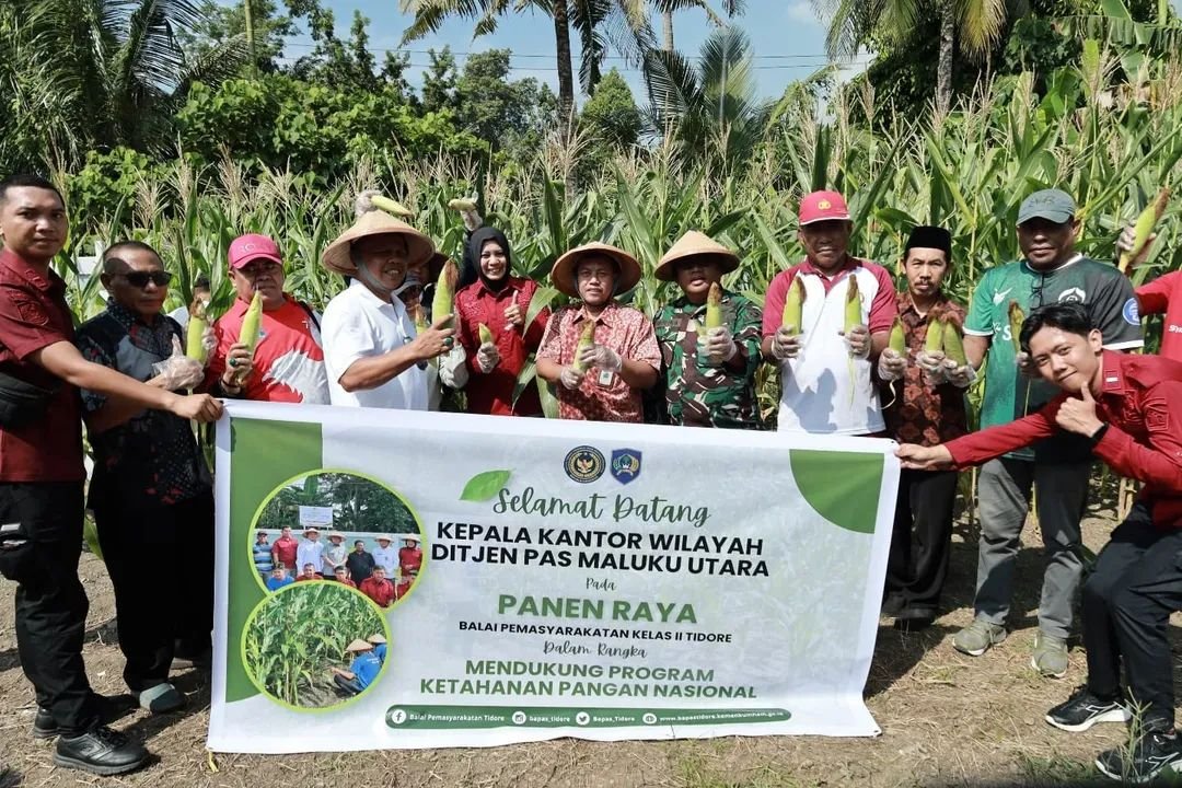 Dukung Ketahanan Pangan, Dandim 1505/Tidore Hadiri Panen Raya