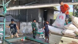 Kodim 0820/Probolinggo Dukung Program Serapan Gabah Petani untuk Ketahanan Pangan