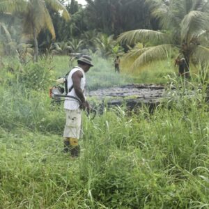 Satgas TMMD Ke-124 Kodim 1501/Ternate Berikan Bantuan Mesin Rumput Kepada Warga Satgas TMMD Ke-124 Kodim 1501/Ternate Berikan Bantuan Mesin Rumput Kepada Warga