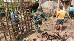 Babinsa Dan Warga Margomulyo Gotong Royong Pindahkan Rumah Ibu Sumini