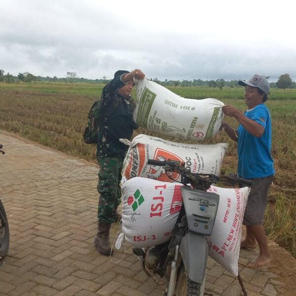 Tim Penerangan Kodim 1002 HST Bantu Warga Angkut Gabah