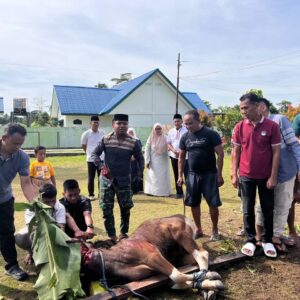 Tingkatkan Keimanan dan Ketaqwaan, Kodim 1710/Mimika Gelar Sholat Idul Adha 1446 H dan Dilanjutkan Pemotongan Hewan Qurban Tingkatkan Keimanan dan Ketaqwaan, Kodim 1710/Mimika Gelar Sholat Idul Adha 1446 H dan Dilanjutkan Pemotongan Hewan Qurban