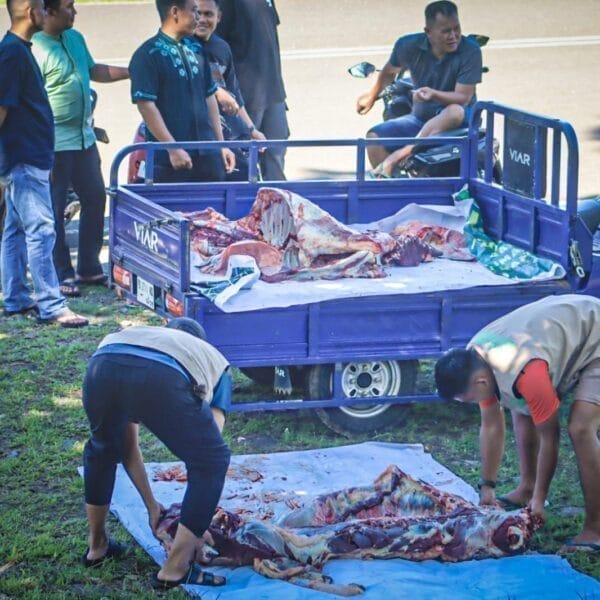 Berbagi Menyambut Idul Adha 1446 H, Pangdam Berikan Tiga Ekor Sapi Qurban di Masjid Istiqlal Kodam XVIII/Kasuari