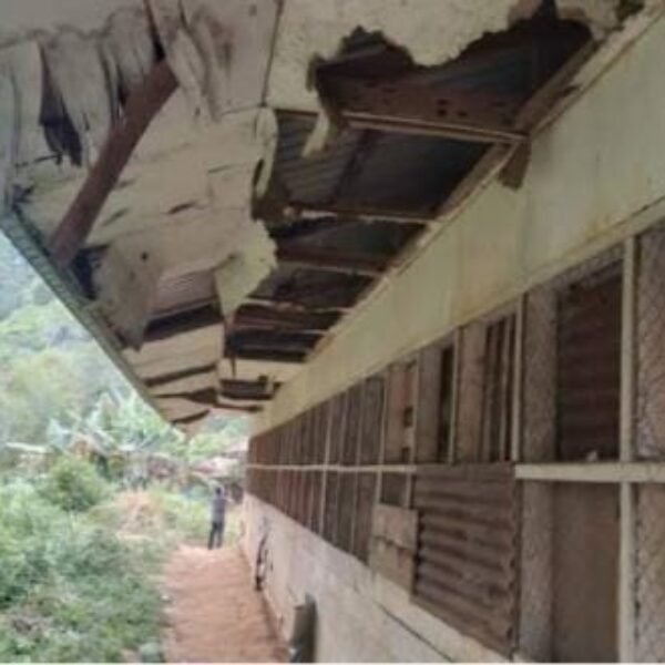 Miris.!!! Kondisi SDN 240 Bandar Panjang Tuo, Kecamatan Muarasipongi, Mahasiswi Unri Asal Muarasipongi Kritik Tajam!!