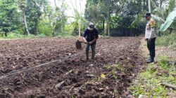Bhabinkamtibmas Desa Pasir Jaya Sambangi Warga Dukung Program Ketahanan Pangan Lestari