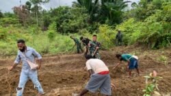 TNI dan Warga Wametkapa Bersatu Kelola Lahan Tidur untuk Ketahanan Pangan Nasional