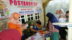 Kolaborasi Babinsa Begelenan, Bidan Dan Kader Posyandu  Bergerak Untuk Generasi Sehat Di Wilayah Srengat