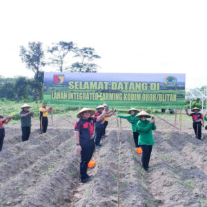 Pematangan Lahan Siap, Kodim 0808/Blitar Tanam Bibit Di Lahan Integrated Farming Desa Dandong