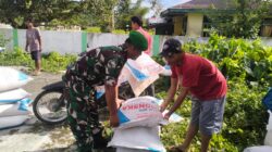 Babinsa Koramil 1505-03 Maba Dampingi Pembagian Pupuk kepada Petani
