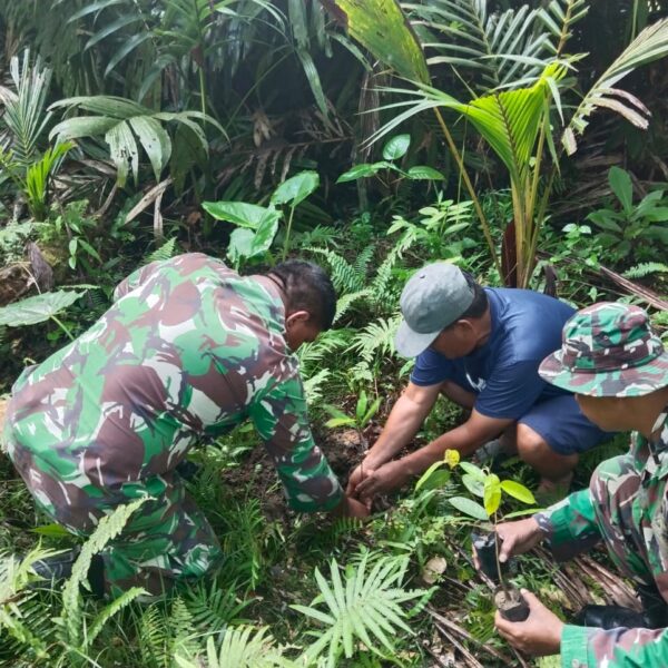 TNI Hijaukan Lingkungan, Koramil 1505-05 Sofifi Tanam Pohon Bersama Warga