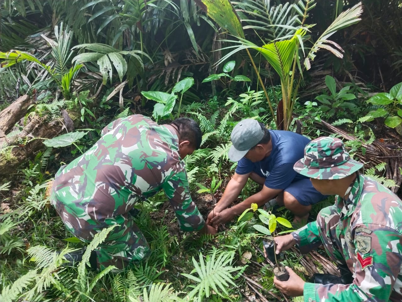TNI Hijaukan Lingkungan, Koramil 1505-05 Sofifi Tanam Pohon Bersama Warga