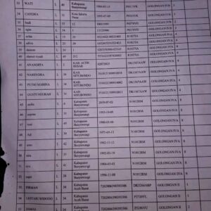 Dunia Transportasi Berduka: KMP Tunu Pratama Jaya Tenggelam di Selat Bali, Puluhan Penumpang Jadi Korban