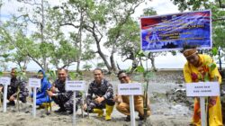 Cegah Abrasi, Satgas Trisila-25 dan Pemkab Nabire Tanam 1.000 Mangrove di Pesisir Samabusa