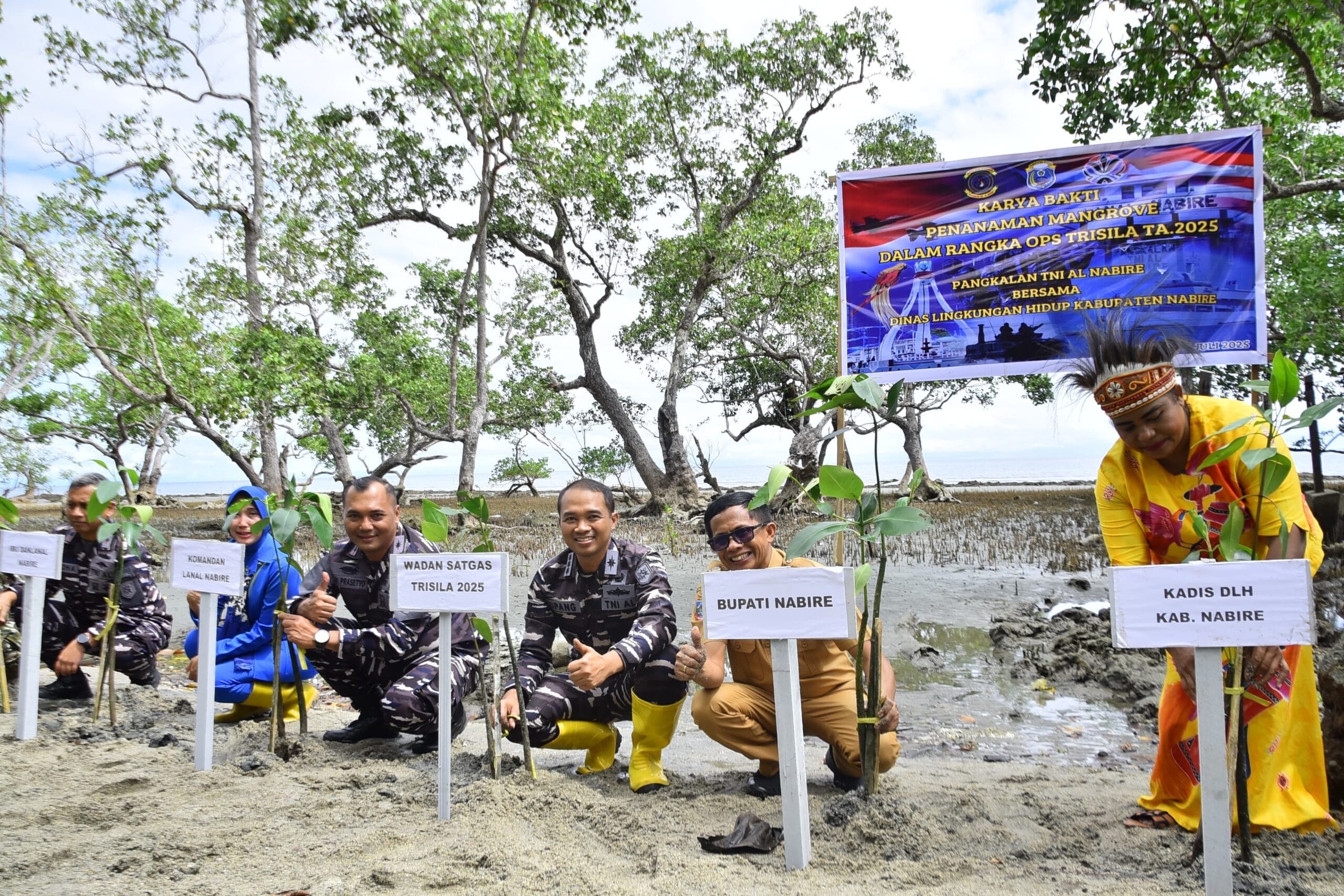 Cegah Abrasi, Satgas Trisila-25 dan Pemkab Nabire Tanam 1.000 Mangrove di Pesisir Samabusa