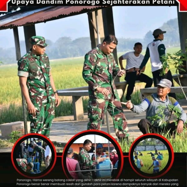 Turut Basmi Wereng Tanaman Padi, Upaya Dandim Ponorogo Sejahterakan Petani