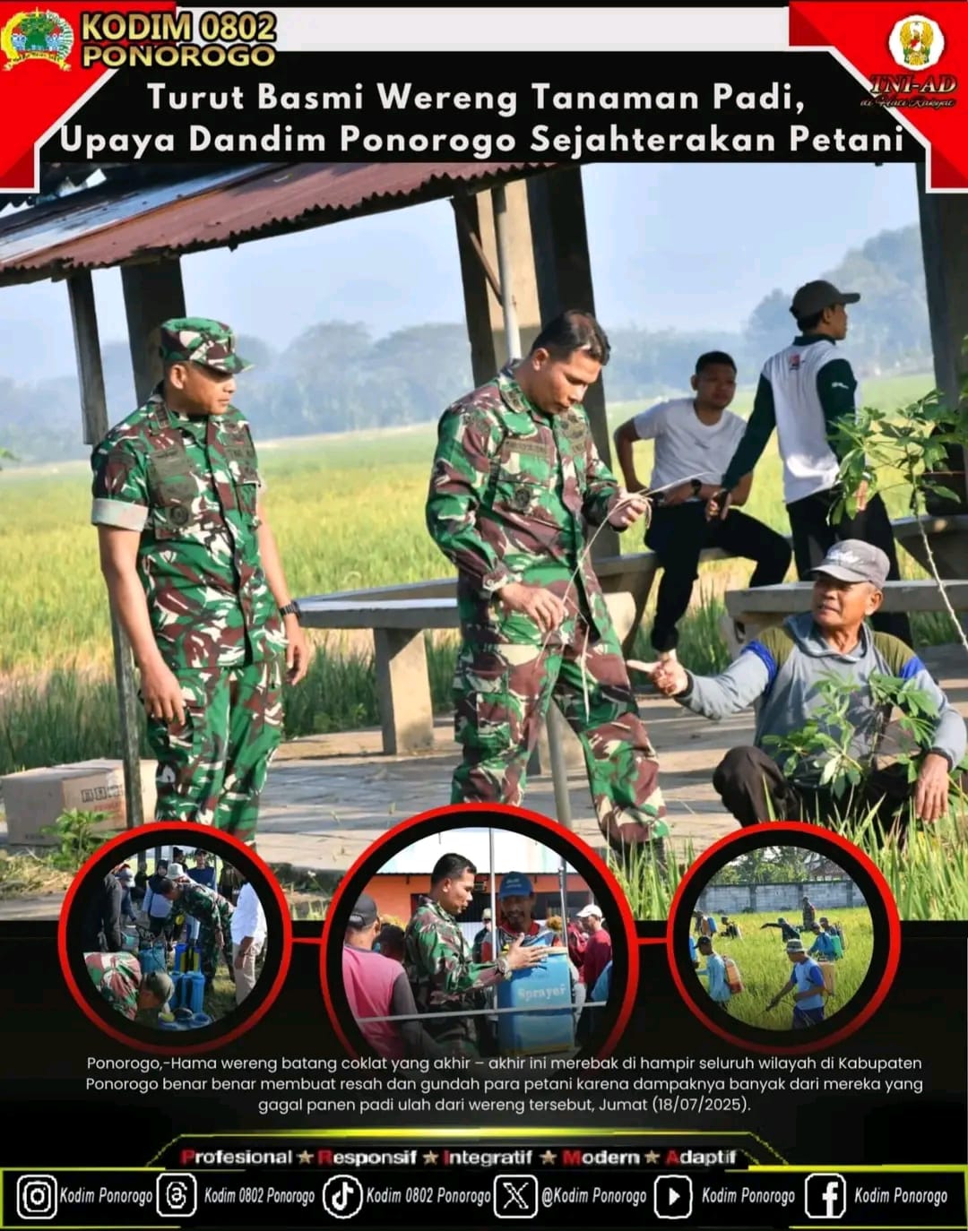 Turut Basmi Wereng Tanaman Padi, Upaya Dandim Ponorogo Sejahterakan Petani