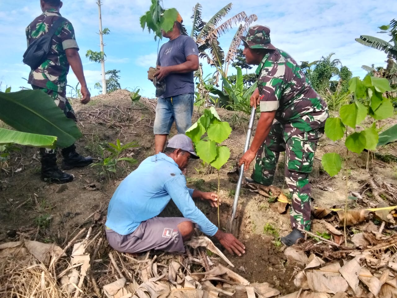 Hijaukan Lingkungan, TNI Tanam Ratusan Pohon di Halmahera Timur