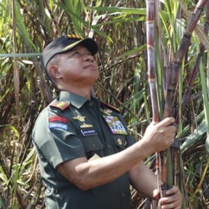 Panglima TNI Kawal Langsung Panen Tebu Untuk Swasembada Gula Nasional Panglima TNI Kawal Langsung Panen Tebu Untuk Swasembada Gula Nasional