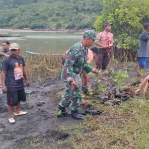 Babinsa Desa Wates, Pramuka Dan Warga Bersatu Lestarikan Alam Dengan Menanam Mangrove Babinsa Desa Wates, Pramuka Dan Warga Bersatu Lestarikan Alam Dengan Menanam Mangrove