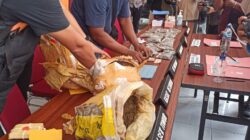 Polresta Sorong Kota Bakar Ganja dan Sabu, Nyatakan Perang Terbuka Terhadap Narkoba
