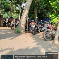 Sabung Ayam di Mangunrejo Diduga Langgar Hukum, Warga Pertanyakan Kemana APH