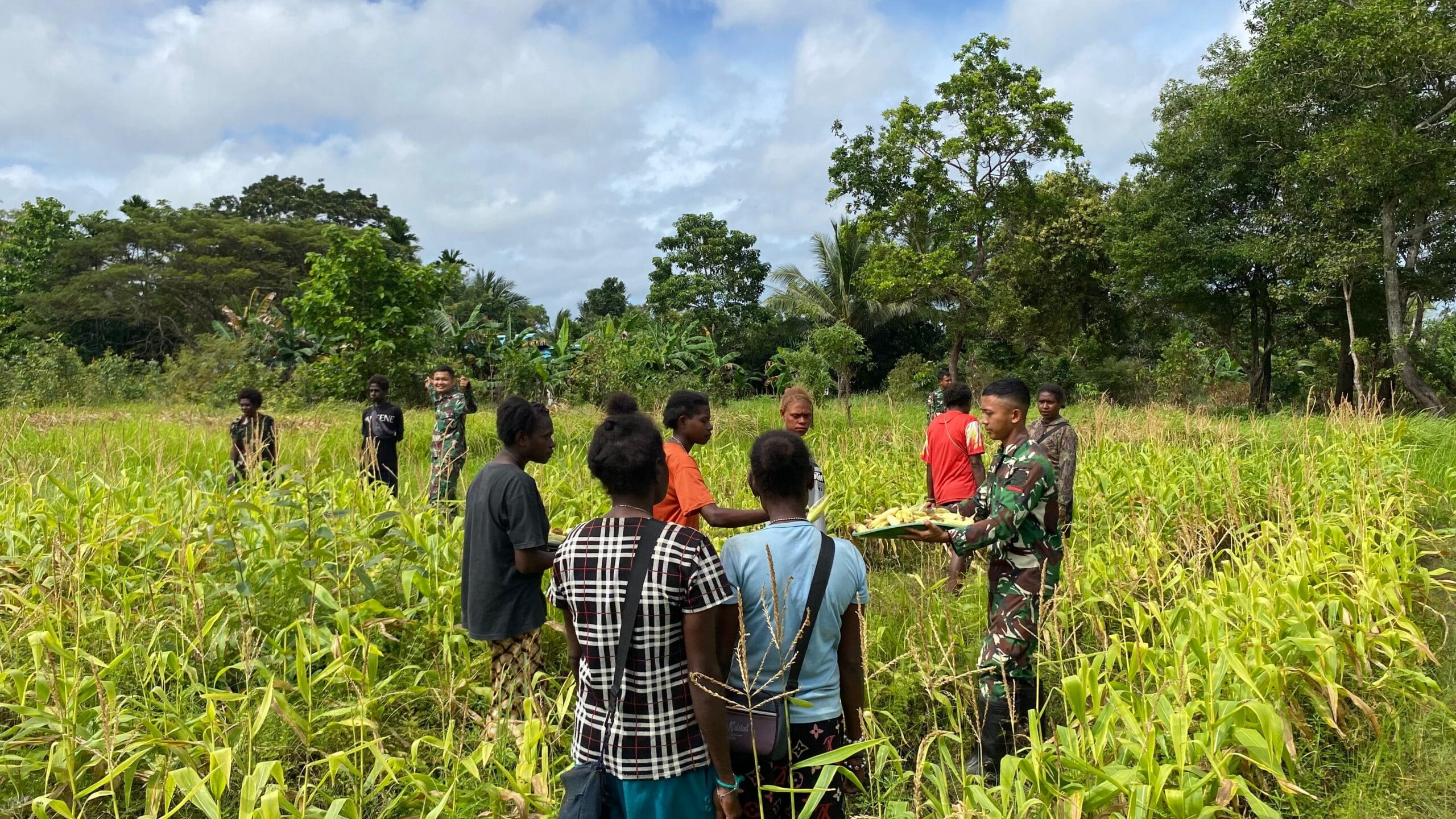 Jagung Melimpah, Persaudaraan Kian Erat di Rawabiru