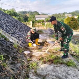 Wujudkan Lingkungan Bersih, Anggota Koramil Lakukan Pemeliharaan Pangkalan Wujudkan Lingkungan Bersih, Anggota Koramil Lakukan Pemeliharaan Pangkalan
