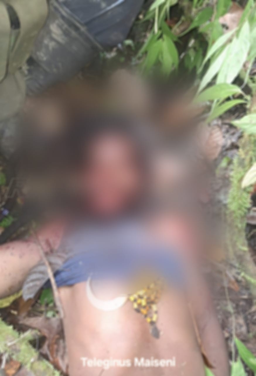 Jelang HUT ke-80 Kemerdekaan RI, TNI Lumpuhkan 8 Anggota OPM