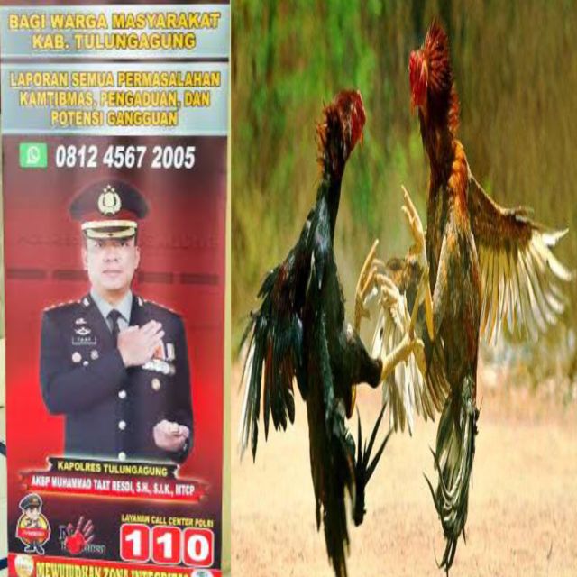 Perjudian Bebas Beroperasi di Ngantru Tulungagung, Aduan Warga Diabaikan: Diduga Ada Pembiaran oleh Oknum APH