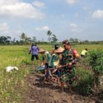 Babinsa Margomulyo Bantu Warga Timbun Jalan Pertanian Untuk Lancarkan Akses