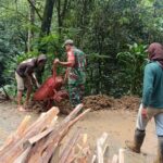Gotong Royong Bersama Warga, Koramil Dan Forkopimcam Gandusari Beserta Warga Bersihkan Sisa Longsor Di Dusun Parang