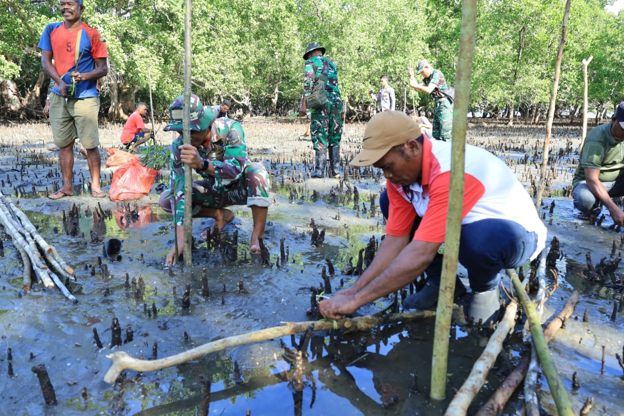 Lestarikan Pantai, Satgas TMMD Kodim 1505/Tidore Galakkan Penanaman Mangrove di Oba Selatan Lestarikan Pantai, Satgas TMMD Kodim 1505/Tidore Galakkan Penanaman Mangrove di Oba Selatan