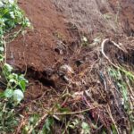 LAPORAN KEJADIAN BENCANA LONGSOR DESA SUKALUYU KECAMATAN PANGALENGAN KABUPATEN BANDUNG