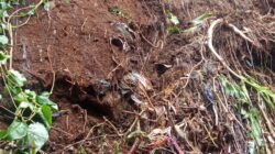 LAPORAN KEJADIAN BENCANA LONGSOR DESA SUKALUYU KECAMATAN PANGALENGAN KABUPATEN BANDUNG