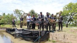 Dukung Kesejahteraan Masyarakat, Kodaeral XIV Gelar Panen Raya TNI AL Serentak Tahun 2025 Dukung Kesejahteraan Masyarakat, Kodaeral XIV Gelar Panen Raya TNI AL Serentak Tahun 2025