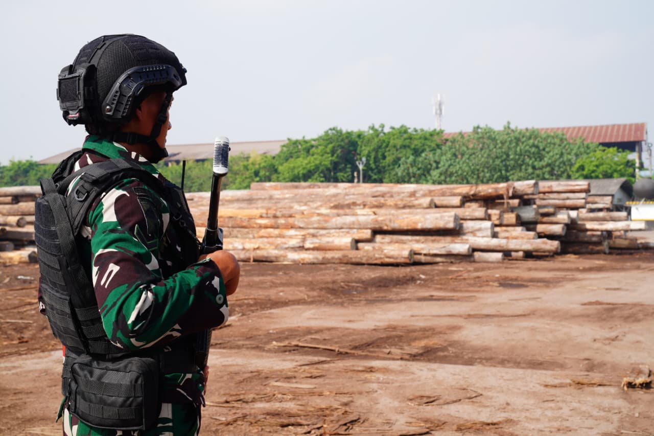 Kasum TNI Tinjau Keberhasilan Satgas PKH Amankan Ribuan Kubik Kayu Ilegal