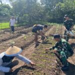 Tumbuh Bersama di Perbatasan: Prajurit Kala Hitam dan Warga Kirely Semai Harapan Hijau