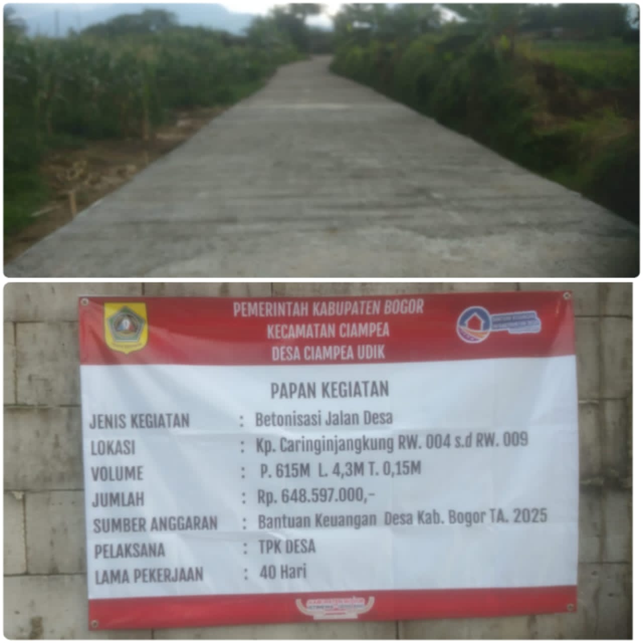 Pemdes Ciampea Udik Di Bawah Pimpinan H.Cecep Basarudin Realisasikan Giat Botanisasi Jalan Kampung Caringin Jangkung Sesuai Aturan 