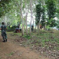 Sambut Peringatan Hari Juang Dan Bukti Kecintaan Kepada Para Ulama, Kodim 0913/PPU Bersama Warga Bersihkan Area Makam Habib Di Lawe-Lawe
